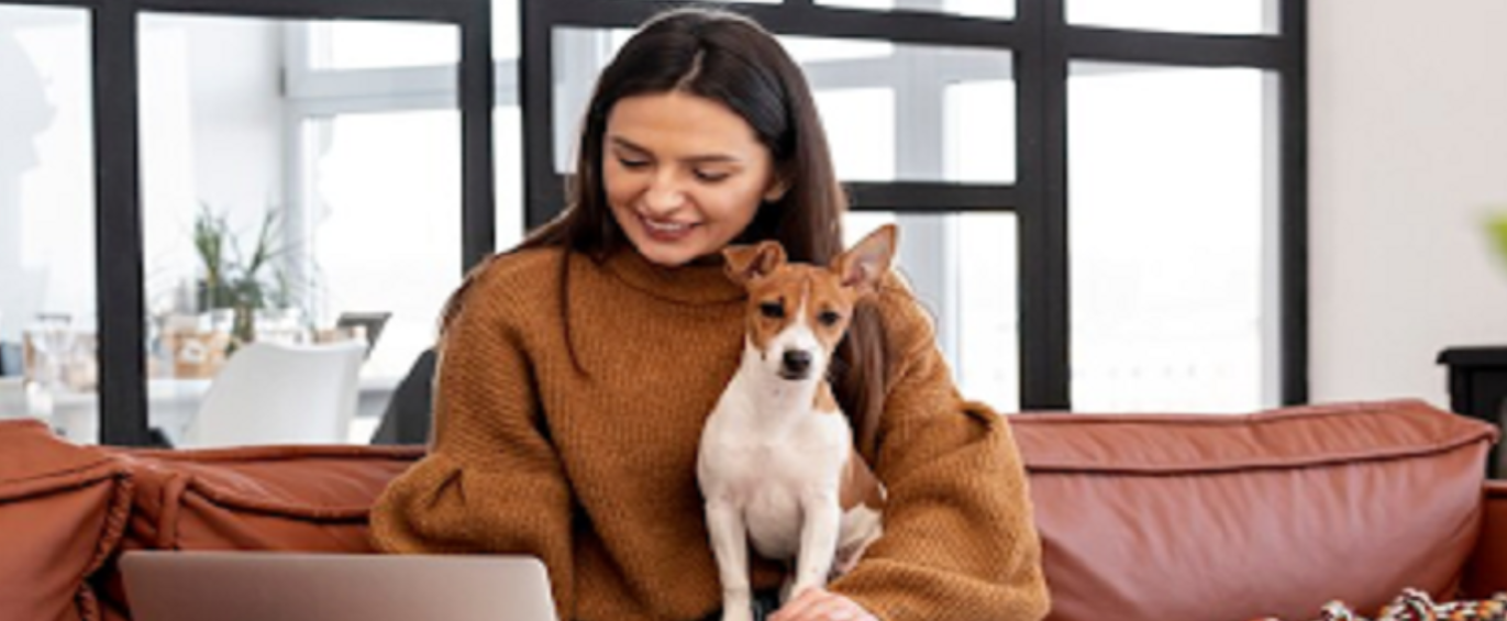 Finding a Perfect Pet-friendly Apartment