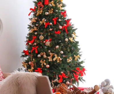 Home Decor Ideas for Christmas