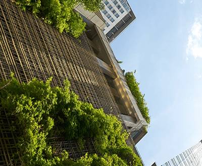 The Growing Importance of Green Buildings